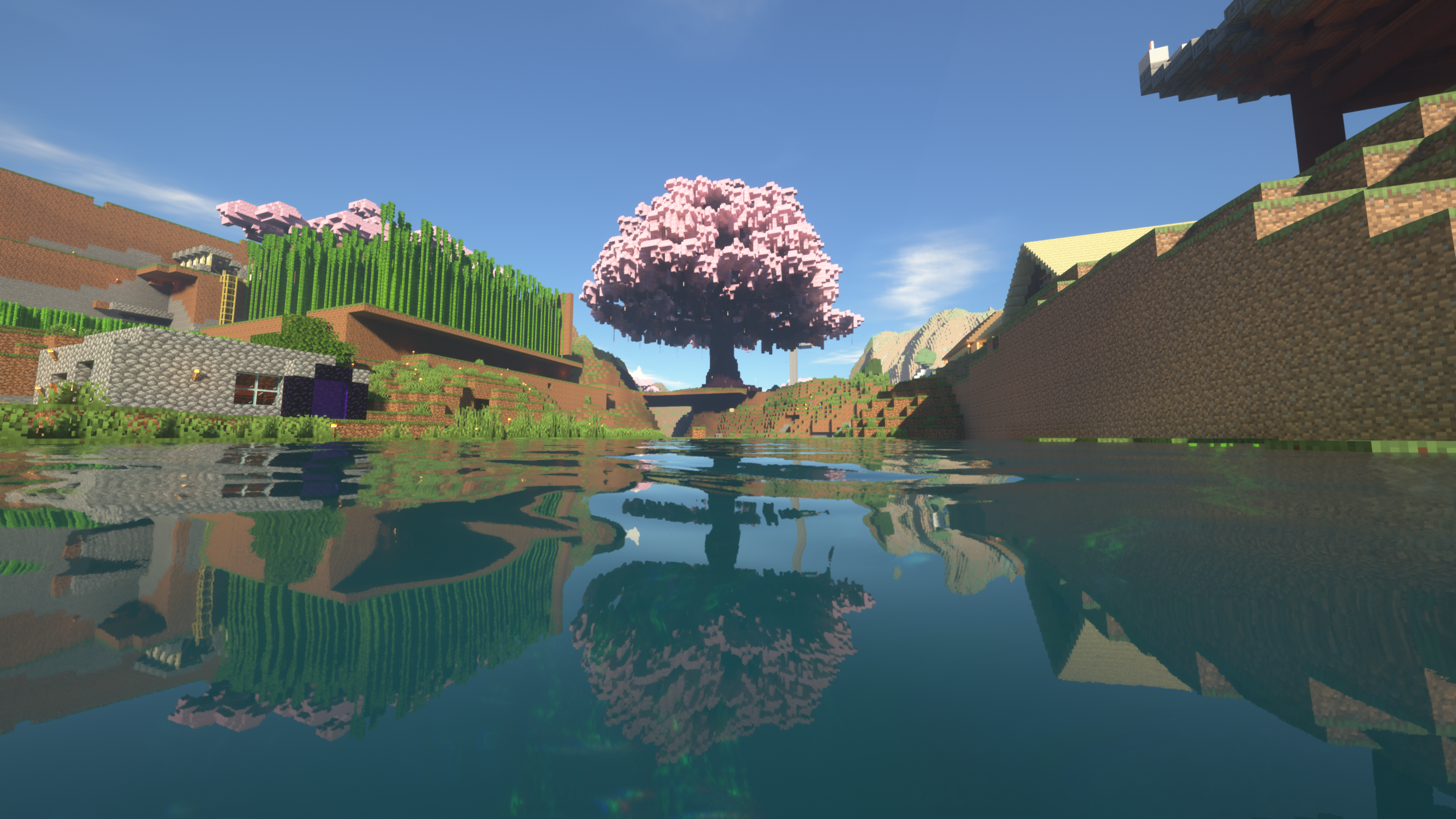 巨型樱花树（一期）